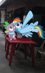 Size: 1404x2239 | Tagged: safe, artist:mrchezco1995, artist:mrlolcats17, rainbow dash, spike, g4, hug, irl, photo, pointing, ponies in real life, reference, table, vector