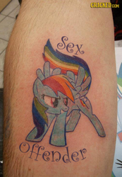 Size: 414x600 | Tagged: safe, rainbow dash, pegasus, pony, g4, brony shaming, cracked, hater, photoplasty, tattoo, text, what were you thinking