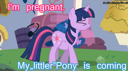 Size: 519x286 | Tagged: safe, twilight sparkle, g4, blue text, female, hub logo, image macro, mama twilight, meme, pregnant, solo, wat