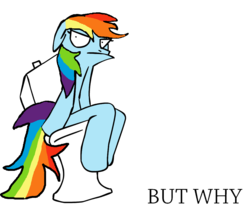 Size: 1053x882 | Tagged: artist needed, safe, rainbow dash, g4, but why, female, sitting on toilet, solo, toilet