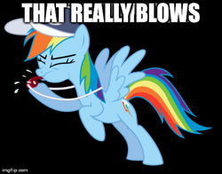 Size: 480x376 | Tagged: safe, artist:masem, rainbow dash, g4, bad pun, baseball cap, blowing, exploitable meme, female, hat, image macro, meme, puffy cheeks, rainblow dash, reaction, solo, that really blows, vector, whistle