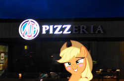 Size: 824x540 | Tagged: safe, applejack, g4, aj's pizza, blushing, female, out of context, photo, pizza, solo