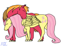 Size: 900x679 | Tagged: safe, artist:winged-wolf22tm, big macintosh, fluttershy, earth pony, pony, g4, hoers, male, ship:fluttermac, shipping, stallion, straight