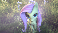 Size: 1920x1080 | Tagged: safe, artist:ferexes, fluttershy, g4, 3d, cute, female, frown, grass, looking at you, perspective, raised eyebrow, shy, solo, source filmmaker