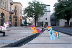 Size: 758x507 | Tagged: safe, artist:bobsicle0, artist:hundebleonidasx, artist:mrlolcats17, artist:yetioner, rainbow dash, scootaloo, sweetie belle, pegasus, pony, unicorn, g4, bench, building, buzzing wings, female, filly, foal, happy, irl, mare, outdoors, photo, ponies in real life, tree, trying to fly, vector, waterway, wings