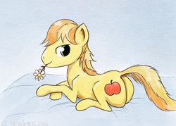 Size: 640x457 | Tagged: safe, artist:el-yeguero, braeburn, earth pony, pony, g4, bed, braebutt, butt, flower, looking at you, looking back, looking back at you, male, plot, smiling, smiling at you, solo, stallion