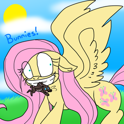 Size: 864x864 | Tagged: safe, artist:thewolfofdark, fluttershy, rabbit, g4, female, solo