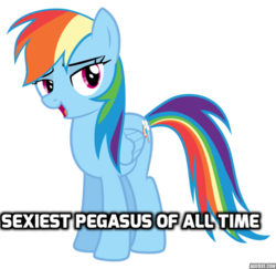 Size: 618x600 | Tagged: safe, edit, rainbow dash, g4, bedroom eyes, caption, female, image macro, meme, sexiest pony alive, simple background, solo, text, transparent background, vector