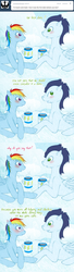 Size: 400x1477 | Tagged: safe, artist:tinuleaf, rainbow dash, soarin', ask rainbow dash family, g4, coffee, female, male, ship:soarindash, shipping, straight, tumblr