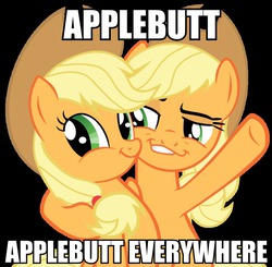 Size: 960x939 | Tagged: safe, applejack, g4, female, image macro, meme, self ponidox, smugdash, solo, twiface, x x everywhere