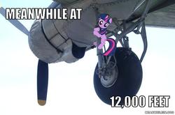 Size: 650x429 | Tagged: safe, twilight sparkle, g4, clinging, image macro, irl, meme, photo, plane, ponies in real life, solo, this will end in tears and/or death