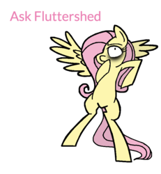 Size: 684x739 | Tagged: safe, artist:ponycakesofsweetness, fluttershy, .mov, shed.mov, g4, ask, creepy, female, fluttershed, murdershy, parody, question, solo, tumblr