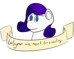 Size: 1950x1571 | Tagged: safe, artist:da bunnana king, rarity, g4, female, feminism, image macro, meme, mouthpiece, old banner, parody, social justice warrior, solo, text