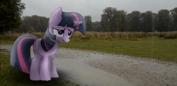 Size: 1141x558 | Tagged: safe, artist:kanadrawsarts, artist:thatguy1945, twilight sparkle, pony, unicorn, g4, irl, overcast, pathway, photo, ponies in real life, shadow, solo