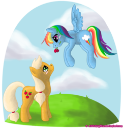 Size: 879x908 | Tagged: safe, artist:relaxn, applejack, rainbow dash, g4, female, flower, lesbian, ship:appledash, shipping