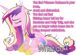 Size: 900x653 | Tagged: safe, princess cadance, g4, bronybait, dirty, eyes closed, female, implied gay, meme, messy mane, meta, sad, solo, text edit, what do