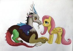 Size: 900x632 | Tagged: safe, artist:theashlynator, discord, fluttershy, g4, female, male, ship:discoshy, shipping, straight