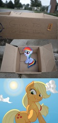 Size: 1320x2796 | Tagged: safe, applejack, rainbow dash, earth pony, pegasus, pony, fanfic:my little dashie, g4, dashie meme, exploitable meme, female, filly, filly rainbow dash, good people finding dash meme, meme, younger