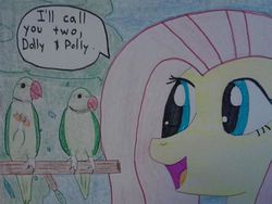 Size: 720x540 | Tagged: safe, artist:justaviewer94, fluttershy, parrot, g4, duo, traditional art