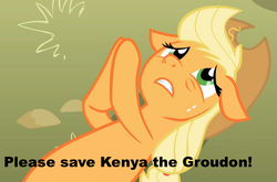 Size: 944x623 | Tagged: safe, applejack, groudon, g4, female, image macro, kenya, meme, solo, twitch plays pokémon