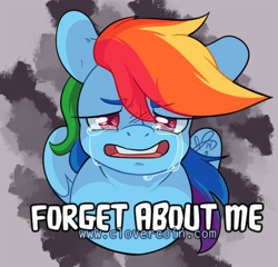 Size: 600x575 | Tagged: safe, artist:clovercoin, rainbow dash, g4, bust, caption, colored pupils, crying, female, looking at you, solo