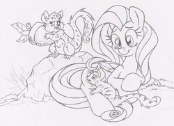 Size: 637x462 | Tagged: safe, artist:dfectivedvice, fluttershy, squirrel, g4, grayscale, lineart, monochrome, sitting, traditional art