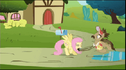 Size: 320x180 | Tagged: safe, screencap, fluttershy, globe trotter, pegasus, pony, g4, putting your hoof down, animated, butt, female, loop, mare, mouth hold, plot, spinning, tourist