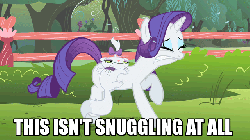 Size: 640x360 | Tagged: safe, edit, edited screencap, screencap, opalescence, rarity, cat, pony, unicorn, g4, stare master, animated, caption, claws, crying, eyes closed, female, gritted teeth, image macro, imma snuggle you, mare, meme, raised hoof, scratching, shivering, snuggling, solo, text, unamused