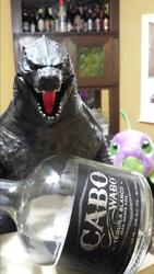 Size: 581x1032 | Tagged: safe, spike, kaiju, g4, crossover, godzilla, godzilla (series), godzilla 2014, irl, jakks pacific, photo, plushie, spike plushie, toy