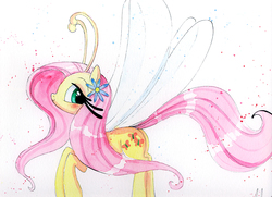 Size: 1152x836 | Tagged: safe, artist:prettypinkpony, fluttershy, breezie, pony, g4, female, flower, flower in hair, looking back, solo, traditional art