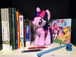 Size: 3264x2448 | Tagged: safe, artist:iflysna94, twilight sparkle, g4, high res, irl, photo, plushie