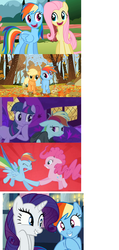 Size: 626x1316 | Tagged: safe, screencap, applejack, fluttershy, pinkie pie, rainbow dash, rarity, twilight sparkle, a canterlot wedding, fall weather friends, g4, griffon the brush off, may the best pet win, read it and weep, female, laughingmares.jpg, mane six, rainbow dash gets all the mares