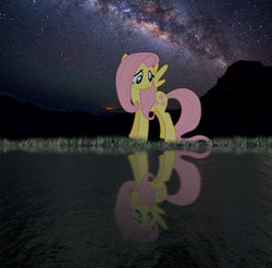 Size: 1600x1573 | Tagged: safe, artist:saboro44, fluttershy, g4, female, night, photoshop, reflection, solo, stars