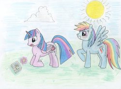 Size: 3385x2483 | Tagged: safe, artist:delapsus1992, rainbow dash, twilight sparkle, alicorn, pony, g4, book, female, grass, high res, lesbian, mare, ship:twidash, shipping, sun, traditional art, twilight sparkle (alicorn)