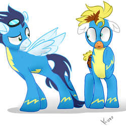 Size: 1000x1000 | Tagged: safe, artist:kuro-kunthekiller, soarin', oc, g4, wonderbolts, wonderbolts uniform