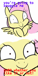 Size: 512x1024 | Tagged: safe, fluttershy, g4, hape, meme, snuggles?, whether you like it or not
