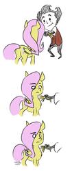 Size: 256x609 | Tagged: safe, artist:furseiseki, fluttershy, human, pegasus, pony, g4, comic, crossover, cute, don't starve, female, hay, mare, video game crossover, wilson (don't starve)