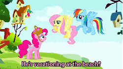 Size: 480x270 | Tagged: safe, screencap, fluttershy, pinkie pie, rainbow dash, bird, earth pony, pegasus, pony, songbird, g4, party of one, animated, basket, bird house, dialogue, female, lies, mare, subtitles