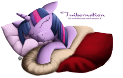 Size: 2045x1312 | Tagged: safe, artist:bhiggo, twilight sparkle, alicorn, pony, g4, bed, blanket, cute, eyes closed, female, floppy ears, hibernation, mare, on side, pillow, pun, sleeping, smiling, solo, twibernation, twilight sparkle (alicorn)