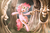 Size: 3508x2348 | Tagged: safe, artist:mrs1989, pinkie pie, g4, dancing, female, fist bump, high res, hoofbump, laughing, solo, tree, tree with face, underhoof