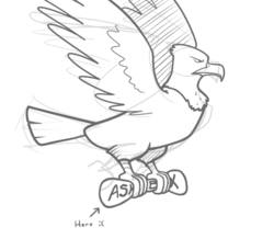 Size: 500x436 | Tagged: safe, artist:redhotkick, that friggen eagle, ask, monochrome, sketch, solo, tumblr