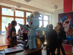 Size: 1280x960 | Tagged: safe, artist:erinliona, fluttershy, rainbow dash, human, g4, 2014, convention, cosplay, irl, irl human, papercraft, photo, poster, rubronycon