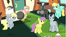 Size: 576x324 | Tagged: safe, screencap, bulk biceps, derpy hooves, fluttershy, helia, lucky clover, parasol, thunderlane, earth pony, pegasus, pony, equestria games (episode), g4, animated, background pony, barbell, female, flying, hub logo, hubble, male, mare, stallion, the hub, weight, weight lifting, weights, wing-ups
