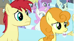 Size: 576x324 | Tagged: safe, screencap, berry punch, berryshine, bon bon, carrot top, cherry berry, don neigh, golden harvest, meadow song, sunshower raindrops, sweetie drops, twinkleshine, upper east side, earth pony, pegasus, pony, unicorn, equestria games (episode), g4, animated, animation error, audience, background pony, equestria games, eyelashes, female, frown, hat, hoof biting, hub logo, hubble, male, mare, nervous, stallion, the hub, unnamed character, unnamed pony