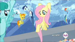 Size: 975x550 | Tagged: safe, screencap, fleetfoot, fluttershy, rainbow dash, soarin', spitfire, spring melody, sprinkle medley, equestria games (episode), g4, equestria games, hub logo, ice, palindrome get