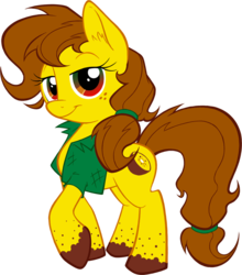Size: 771x878 | Tagged: safe, artist:hydro-king, oc, oc only, oc:golden kiwi, earth pony, pony, clothes, solo