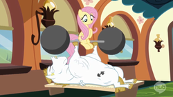Size: 606x342 | Tagged: safe, screencap, bulk biceps, fluttershy, pegasus, pony, equestria games (episode), g4, barbell, weight lifting, weights