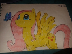 Size: 2560x1920 | Tagged: safe, artist:kirsty vernon, fluttershy, butterfly, g4, female, solo, traditional art