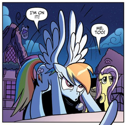 Size: 508x498 | Tagged: safe, idw, official comic, fluttershy, rainbow dash, g4, spoiler:comic, panel