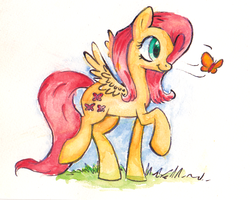 Size: 727x583 | Tagged: safe, artist:mapony240, fluttershy, butterfly, g4, female, solo, traditional art